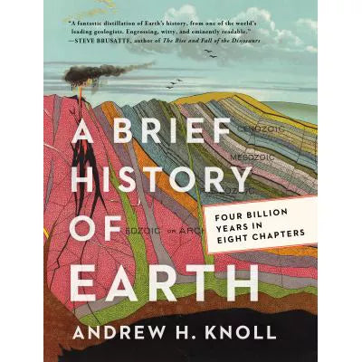 Brief History of Earth