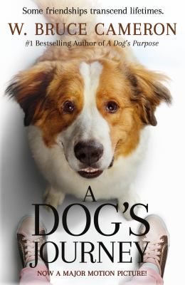 DOGS JOURNEY MTI
