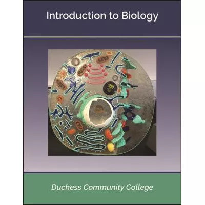 Intro to Biology